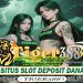 TIGERBET388 Bandar Slot Resmi Anti Rungkad Jackpot