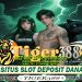 TIGERSLOT388 Slot Online Menang Beruntun Strategi Hebat